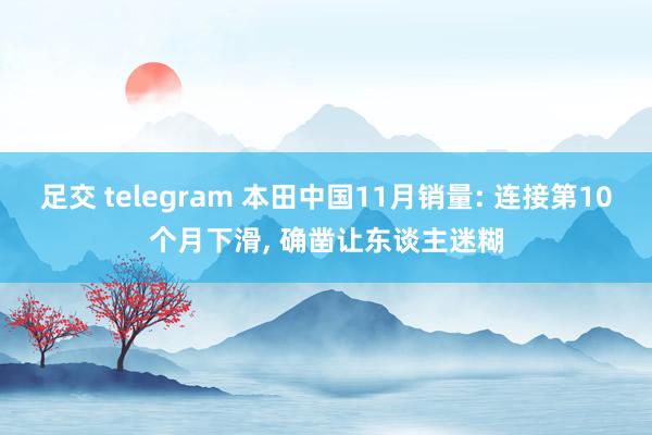 足交 telegram 本田中国11月销量: 连接第10个月下滑， 确凿让东谈主迷糊