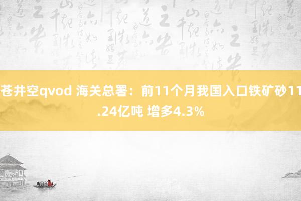 苍井空qvod 海关总署：前11个月我国入口铁矿砂11.24亿吨 增多4.3%