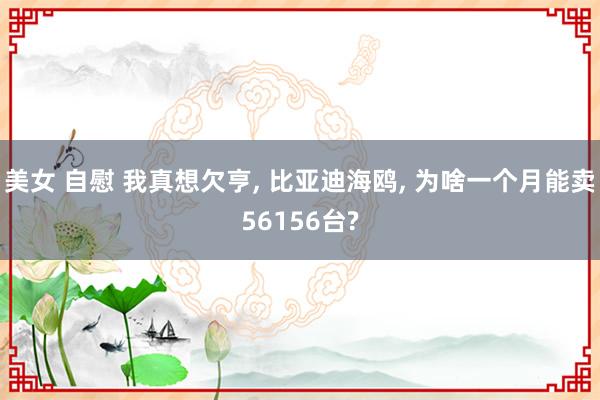 美女 自慰 我真想欠亨， 比亚迪海鸥， 为啥一个月能卖56156台?