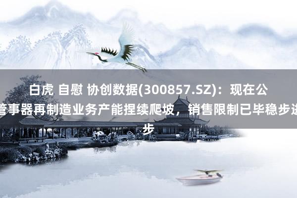 白虎 自慰 协创数据(300857.SZ)：现在公司管事器再制造业务产能捏续爬坡，销售限制已毕稳步进步