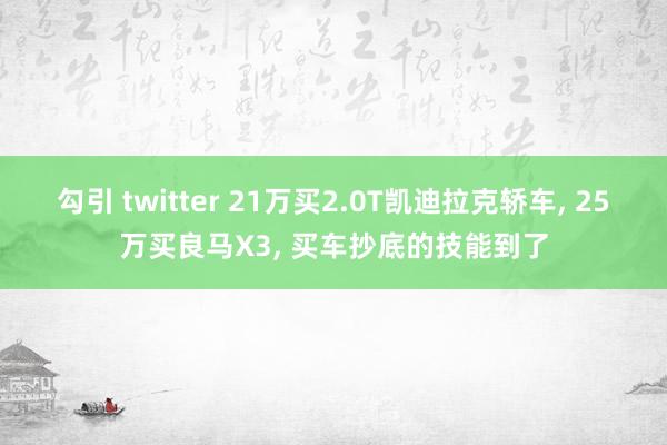 勾引 twitter 21万买2.0T凯迪拉克轿车， 25万买良马X3， 买车抄底的技能到了