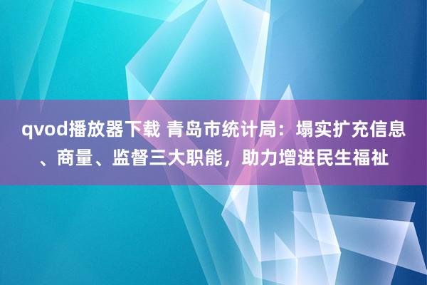 qvod播放器下载 青岛市统计局：塌实扩充信息、商量、监督三大职能，助力增进民生福祉