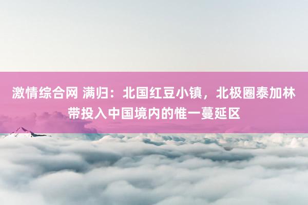 激情综合网 满归：北国红豆小镇，北极圈泰加林带投入中国境内的惟一蔓延区