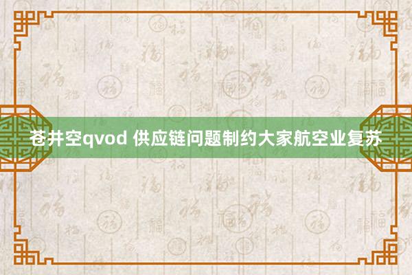 苍井空qvod 供应链问题制约大家航空业复苏