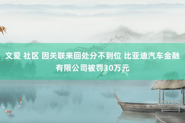 文爱 社区 因关联来回处分不到位 比亚迪汽车金融有限公司被罚30万元