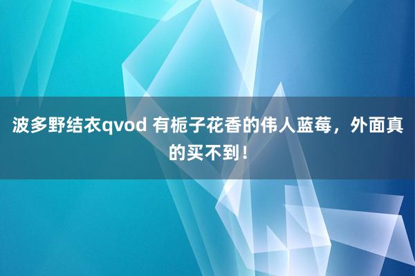 波多野结衣qvod 有栀子花香的伟人蓝莓，外面真的买不到！