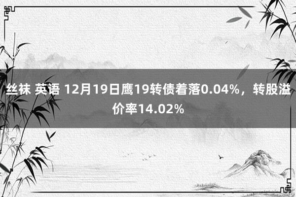 丝袜 英语 12月19日鹰19转债着落0.04%，转股溢价率14.02%