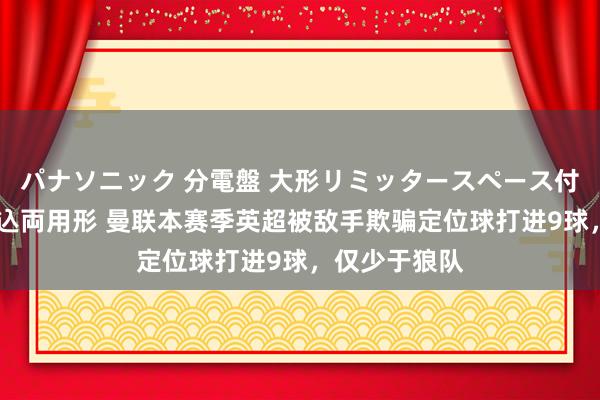 パナソニック 分電盤 大形リミッタースペース付 露出・半埋込両用形 曼联本赛季英超被敌手欺骗定位球打进9球，仅少于狼队