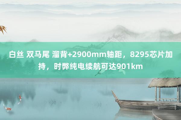 白丝 双马尾 溜背+2900mm轴距，8295芯片加持，时弊纯电续航可达901km