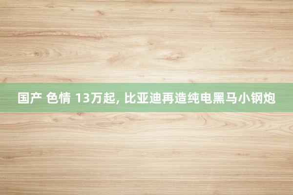 国产 色情 13万起， 比亚迪再造纯电黑马小钢炮