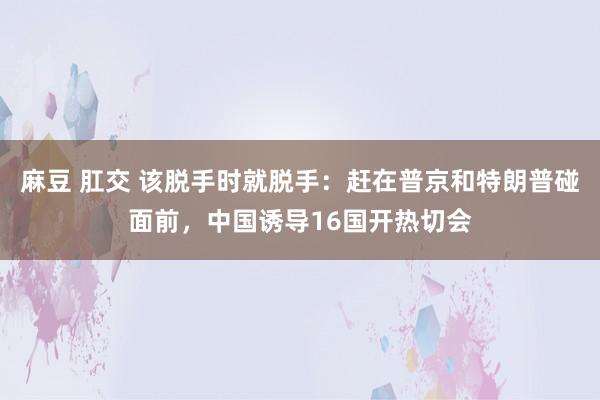 麻豆 肛交 该脱手时就脱手：赶在普京和特朗普碰面前，中国诱导16国开热切会