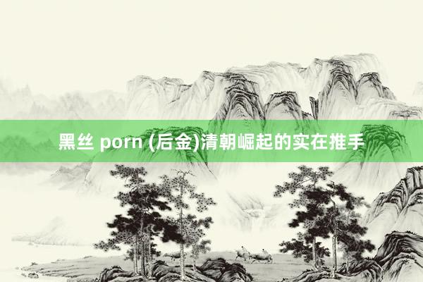 黑丝 porn (后金)清朝崛起的实在推手