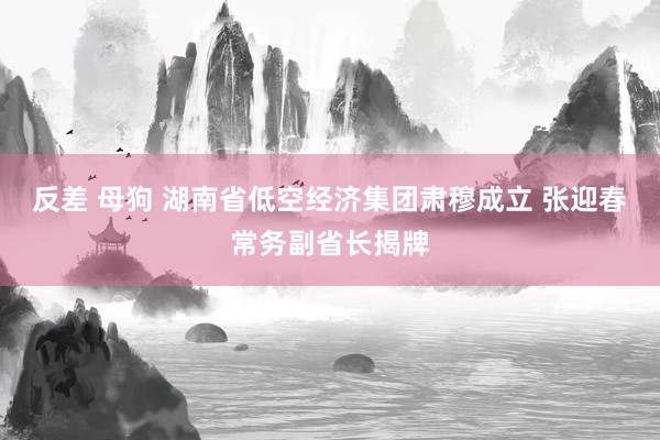 反差 母狗 湖南省低空经济集团肃穆成立 张迎春常务副省长揭牌