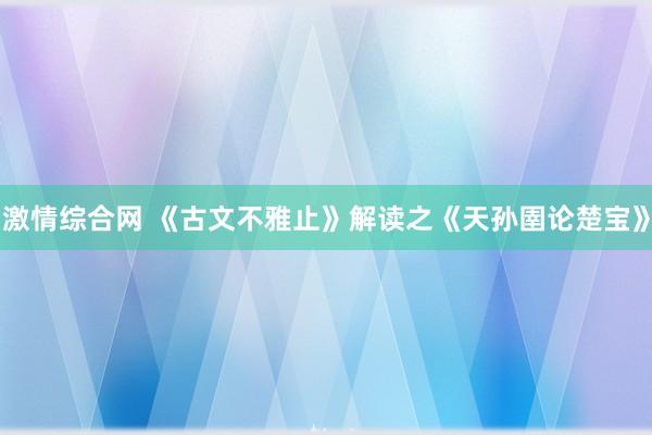 激情综合网 《古文不雅止》解读之《天孙圉论楚宝》