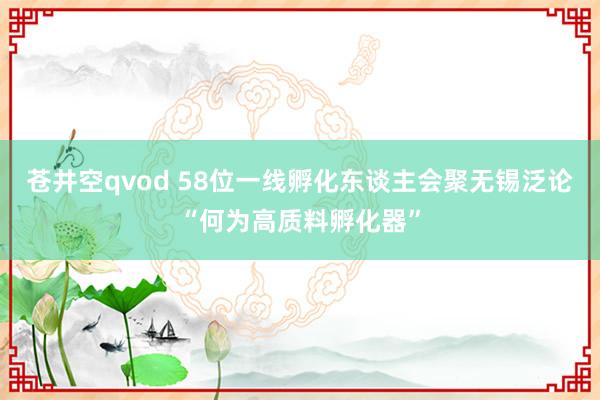 苍井空qvod 58位一线孵化东谈主会聚无锡泛论“何为高质料孵化器”