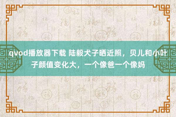 qvod播放器下载 陆毅犬子晒近照，贝儿和小叶子颜值变化大，一个像爸一个像妈