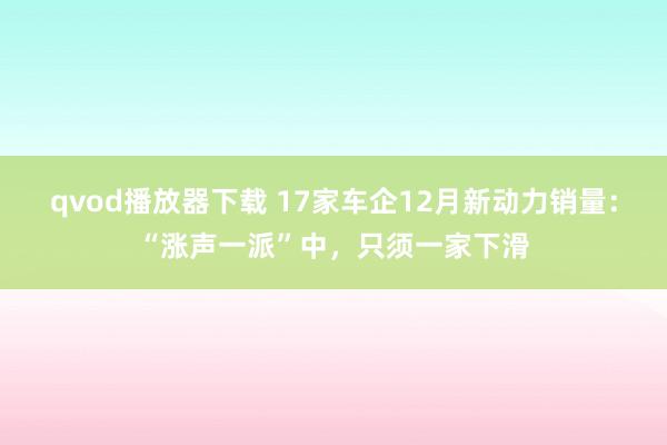 qvod播放器下载 17家车企12月新动力销量：“涨声一派”中，只须一家下滑