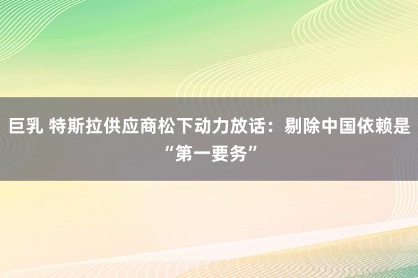 巨乳 特斯拉供应商松下动力放话：剔除中国依赖是“第一要务”