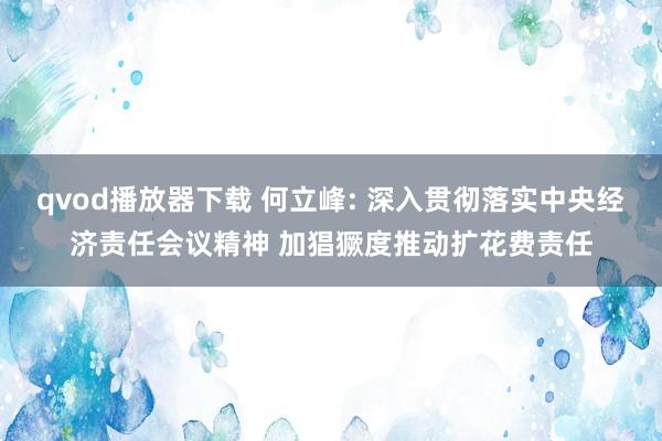 qvod播放器下载 何立峰: 深入贯彻落实中央经济责任会议精神 加猖獗度推动扩花费责任