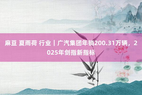 麻豆 夏雨荷 行业｜广汽集团年销200.31万辆，2025年剑指新指标