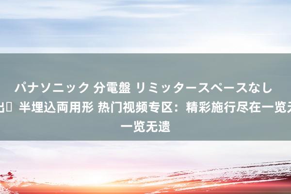 パナソニック 分電盤 リミッタースペースなし 露出・半埋込両用形 热门视频专区：精彩施行尽在一览无遗