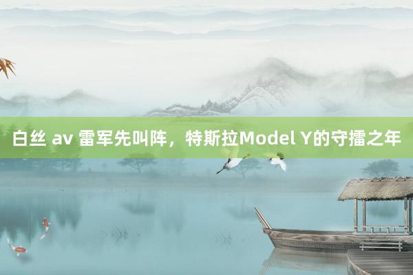 白丝 av 雷军先叫阵，特斯拉Model Y的守擂之年